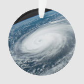 台風のヒンナムナー。 オーナメント (正面)