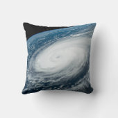 台風のヒンナムナー。 クッション (裏面)