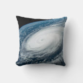 台風のヒンナムナー。 クッション (正面)