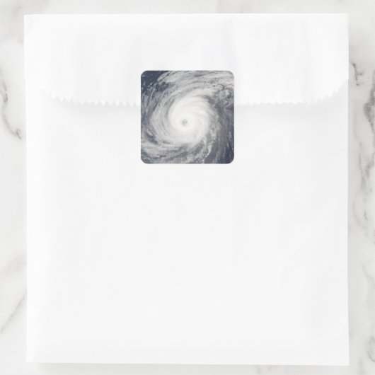 台風の南 スクエアシール (バッグ)