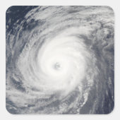 台風の南 スクエアシール (正面)