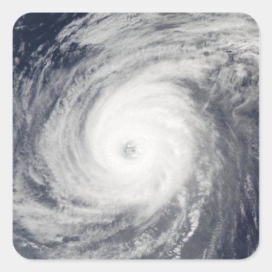 台風の南 スクエアシール (正面)