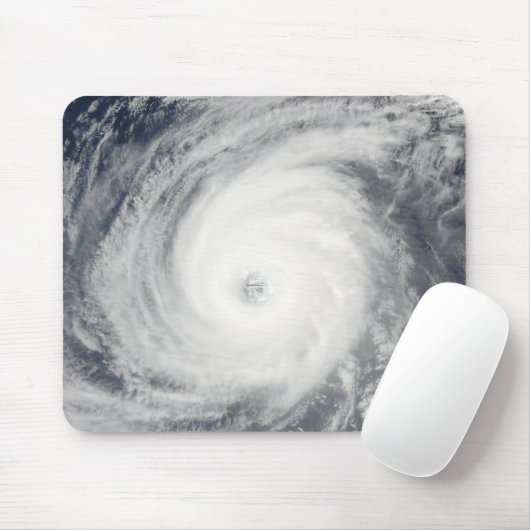 台風の南 マウスパッド (マウス)