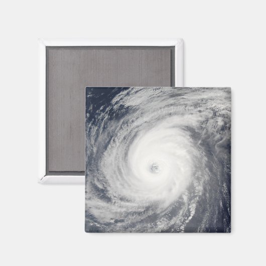 台風の南 マグネット (正面/裏面)