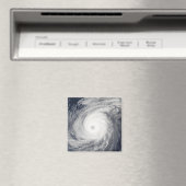 台風の南 マグネット (インサイチュ (食洗機))