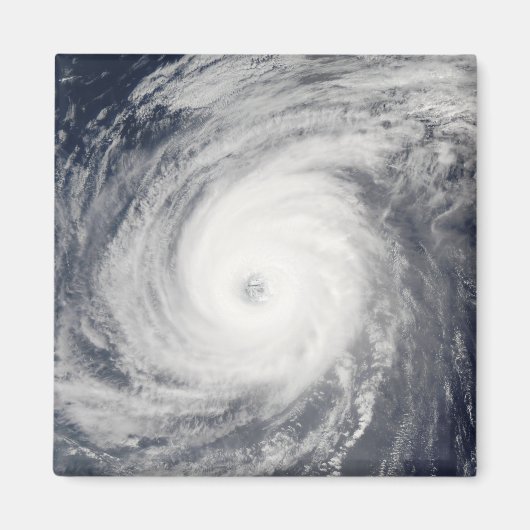 台風の南 マグネット (正面)