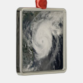 台風の直栗中国2 メタルオーナメント (右)