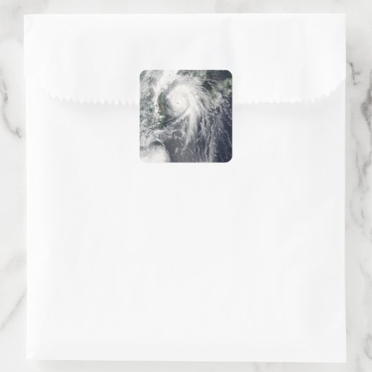 台風コンパス スクエアシール (バッグ)