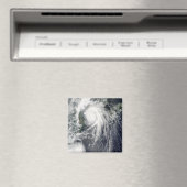 台風コンパス マグネット (インサイチュ (食洗機))