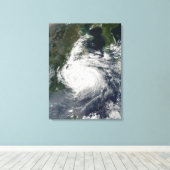 台風シンラク キャンバスプリント (インサイチュ (ウッドフロア))