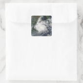 台風シンラク スクエアシール (バッグ)