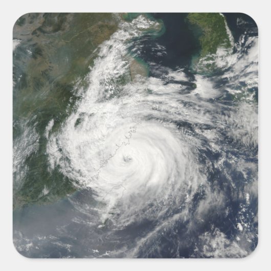 台風シンラク スクエアシール (正面)