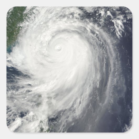 台風ジャンミ スクエアシール (正面)