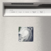 台風ジャンミ マグネット (インサイチュ (食洗機))