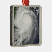 台風ジャンミ メタルオーナメント (右)