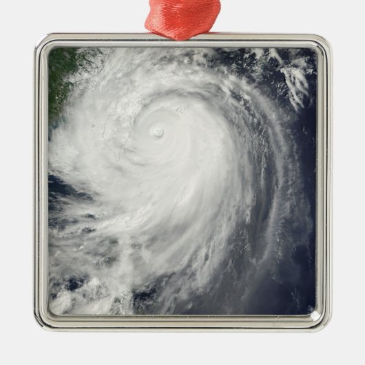 台風ジャンミ メタルオーナメント (正面)