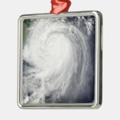 台風ジャンミ メタルオーナメント (左)