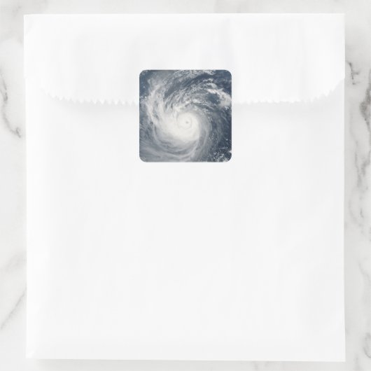 台風タム スクエアシール (バッグ)