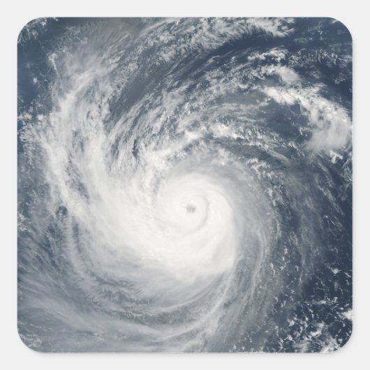 台風タム スクエアシール (正面)