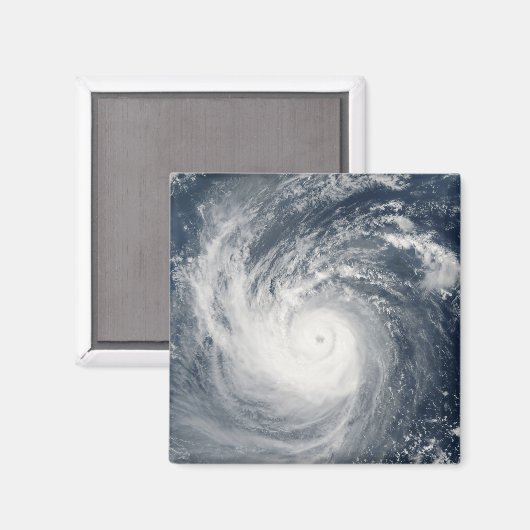 台風タム マグネット (正面/裏面)