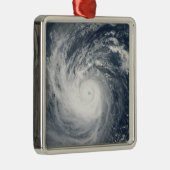 台風タム メタルオーナメント (右)
