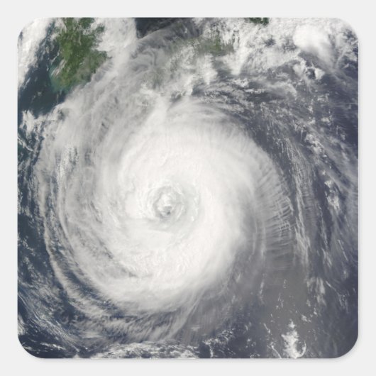 台風チャバ スクエアシール (正面)