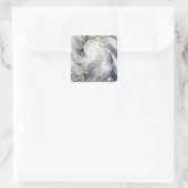 台風チャントゥ スクエアシール (バッグ)