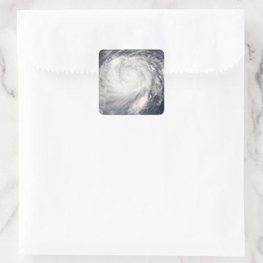 台風ハイタン スクエアシール (バッグ)