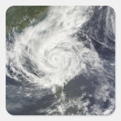 台風パルマ スクエアシール (正面)