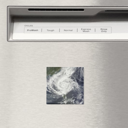 台風パルマ マグネット (インサイチュ (食洗機))