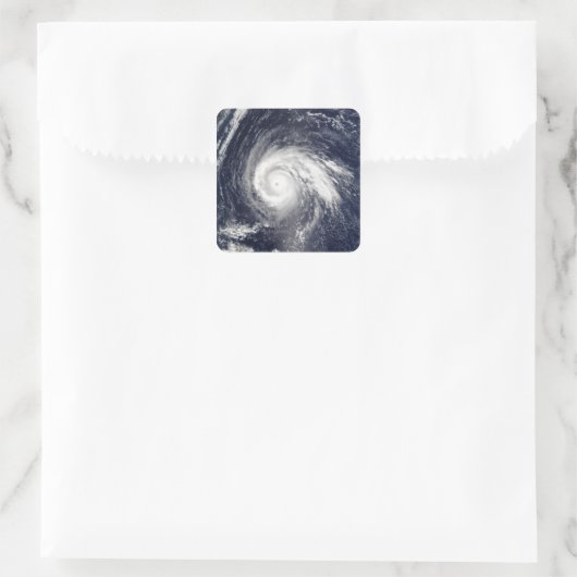 台風ヒゴス スクエアシール (バッグ)