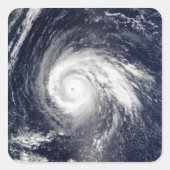 台風ヒゴス スクエアシール (正面)