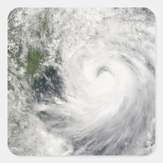 台風プラピロン スクエアシール (正面)