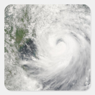 台風プラピロン スクエアシール