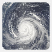 台風ルサ スクエアシール (正面)