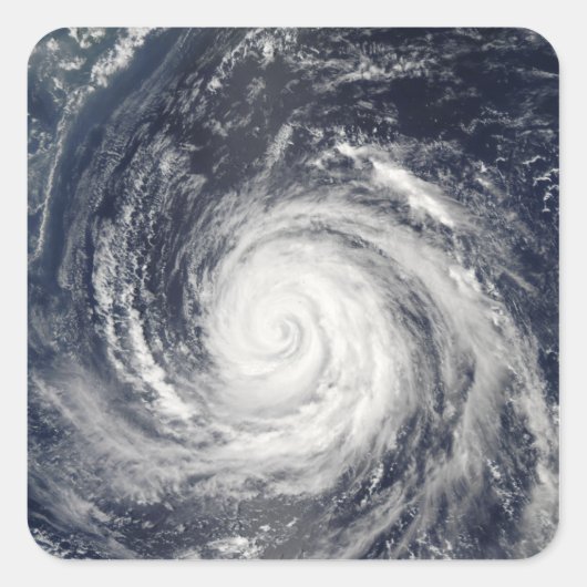 台風ルサ スクエアシール (正面)