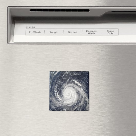 台風ルサ マグネット (インサイチュ (食洗機))