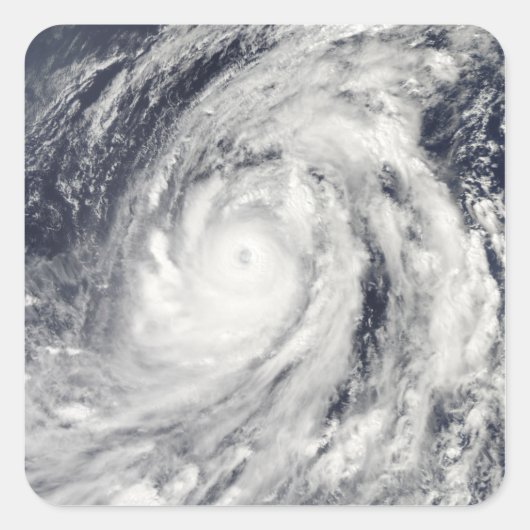 台風ルピット スクエアシール (正面)