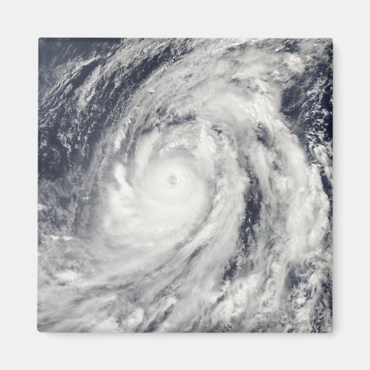 台風ルピット マグネット (正面)