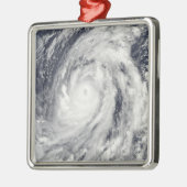 台風ルピット メタルオーナメント (左)