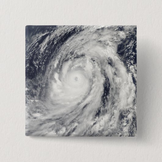 台風ルピット 缶バッジ (正面)