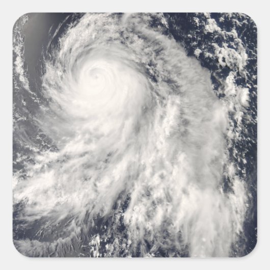 台風中里 スクエアシール (正面)