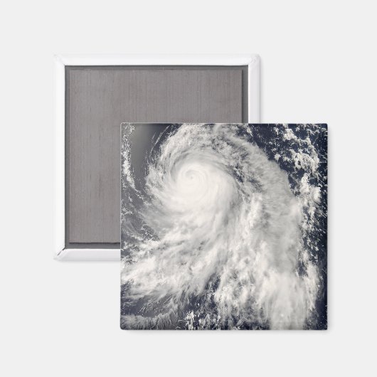 台風中里 マグネット (正面/裏面)