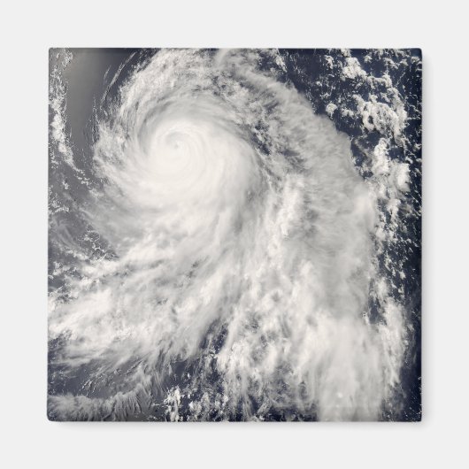 台風中里 マグネット (正面)