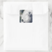 台風南日本 スクエアシール (バッグ)