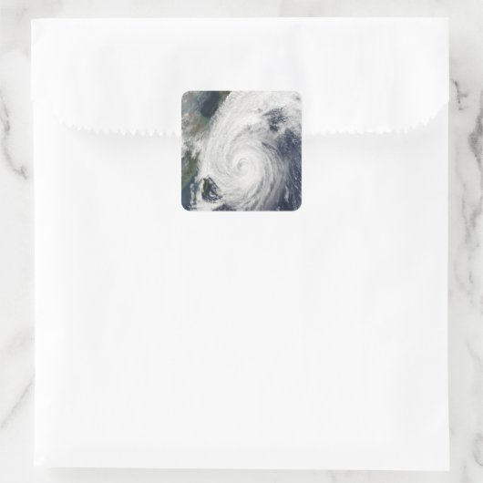 台風南日本 スクエアシール (バッグ)