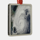 台風南日本 メタルオーナメント (右)