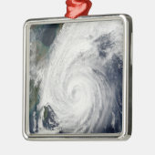 台風南日本 メタルオーナメント (左)