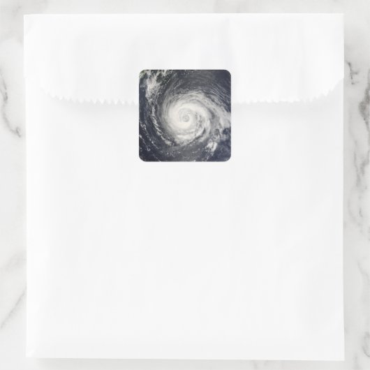 台風台風 スクエアシール (バッグ)