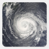 台風台風 スクエアシール (正面)